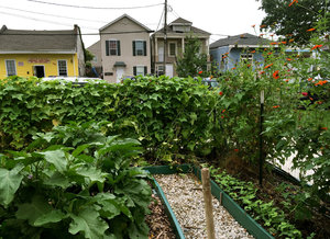deb-garden-nola_custom-a2750f2a70cbcd009468169da992f281ce68bf13-s300-c85