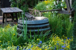 rainwater-harvesting
