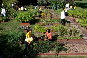 white_house_kitchen_garden