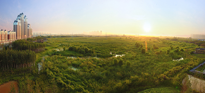 greenguideheader