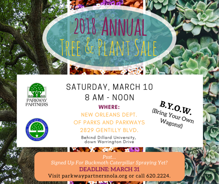 March 10: Annual Tree & Plant Sale!!